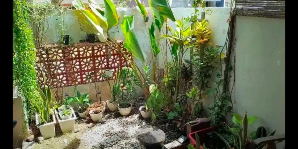 Rumah Minimalis Siap Huni di Perumahan Grand Alexandria Buduran Sidoarjo Rumah Minimalis Siap Huni di Perumahan Grand Alexandria Buduran Sidoarjo