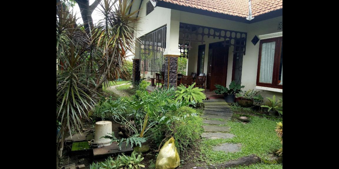 Rumah Luas Istimewa Full Jati Lokasi Gayungsari Barat Surabaya Rumah Luas Istimewa Full Jati Lokasi Gayungsari Barat Surabaya