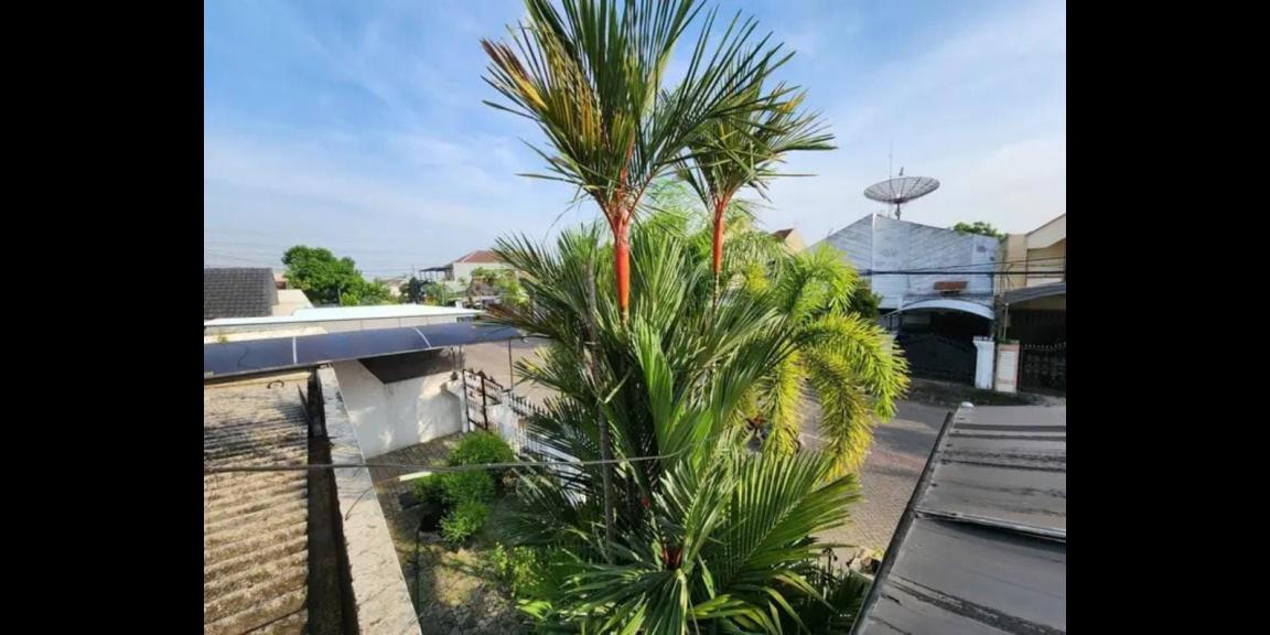 Dijual Rumah Murah Lebar 18 Hitung Tanah Lokasi Kutisari Indah Surabaya Dijual Rumah Murah Lebar 18 Hitung Tanah Lokasi Kutisari Indah Surabaya