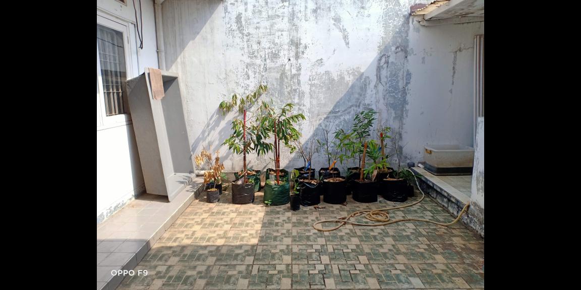 jual rumah di nusa loka BSD jual rumah di nusa loka BSD