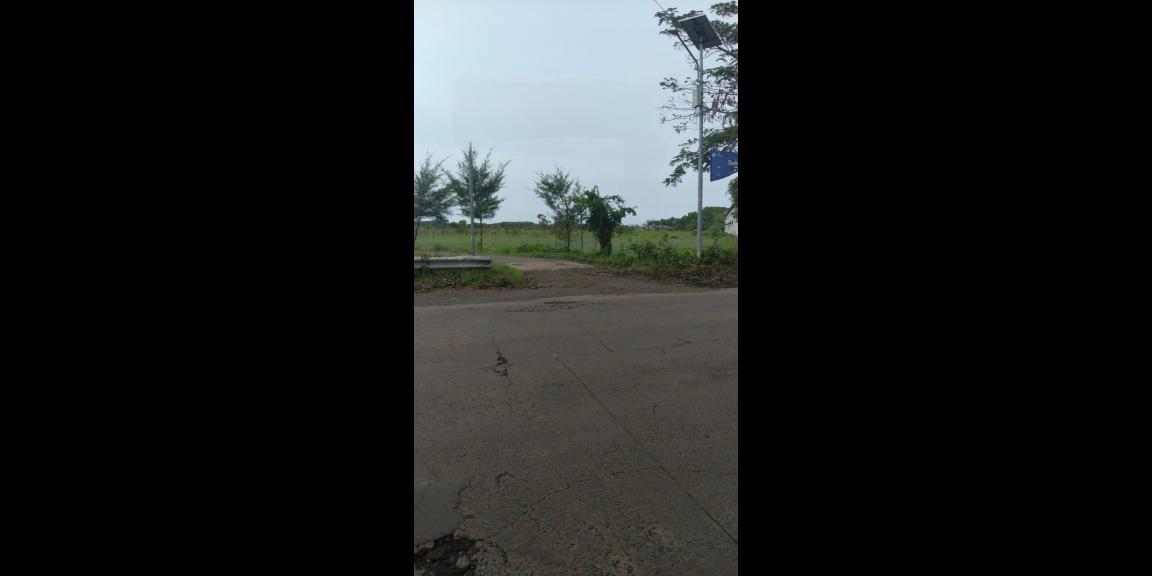 Tanah Murah SHM Strategis 0 Jalan Raya di Probolinggo Tanah Murah SHM Strategis 0 Jalan Raya di Probolinggo