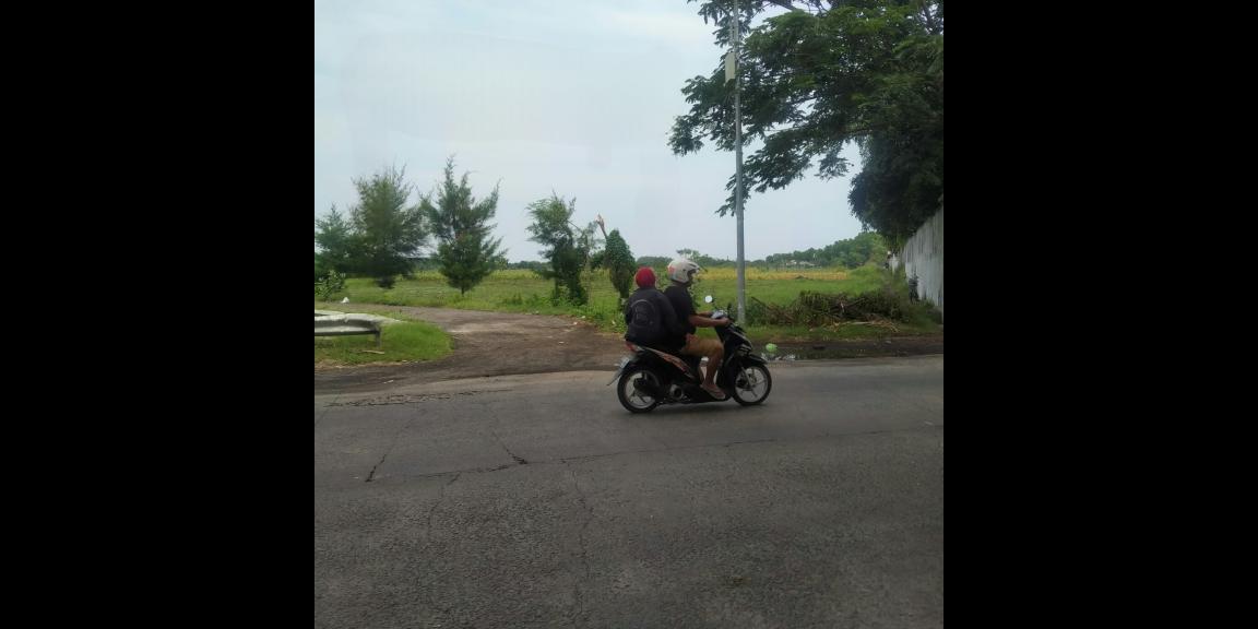 Tanah Murah SHM Strategis 0 Jalan Raya di Probolinggo Tanah Murah SHM Strategis 0 Jalan Raya di Probolinggo