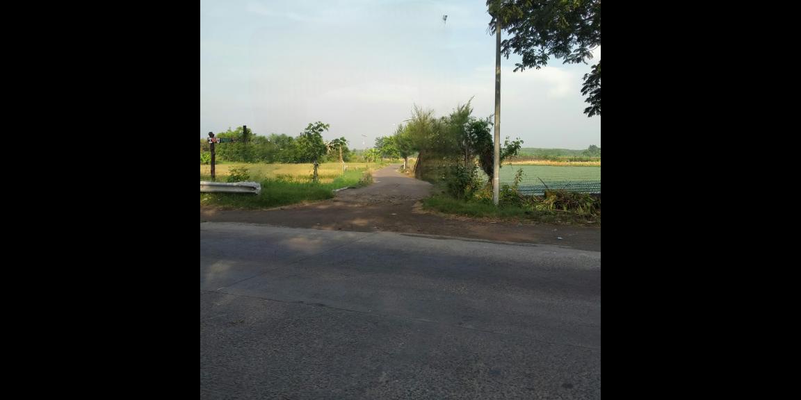 Tanah Murah SHM Strategis 0 Jalan Raya di Probolinggo Tanah Murah SHM Strategis 0 Jalan Raya di Probolinggo