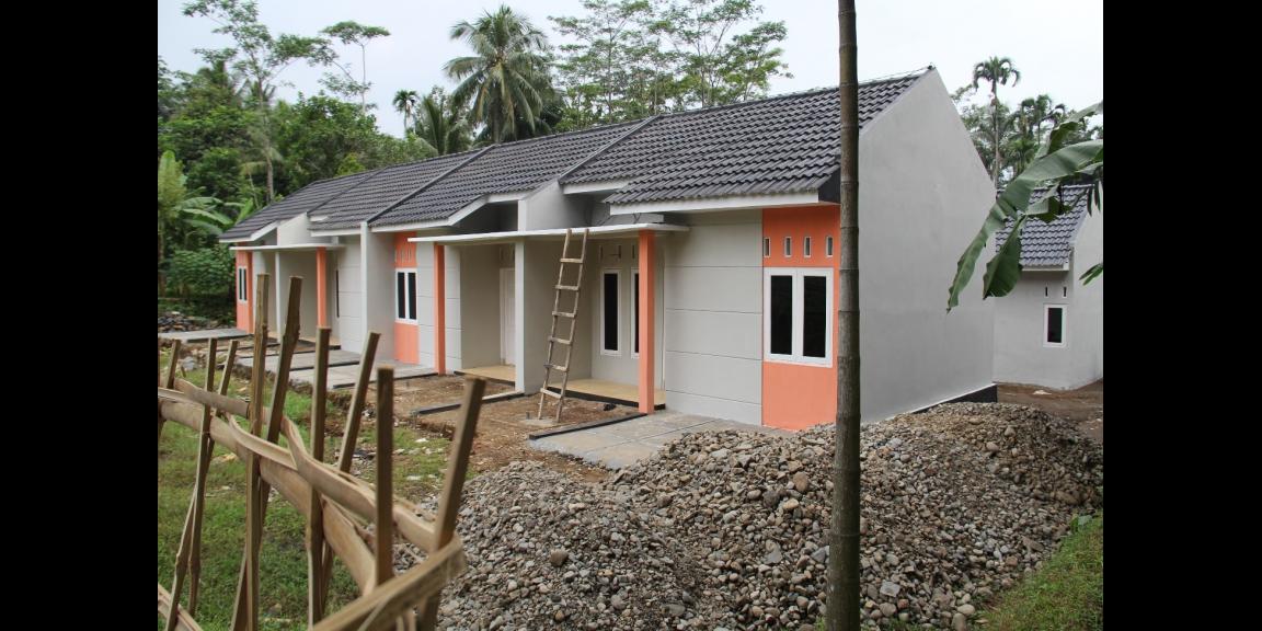 Anthurium Regency Purwokerto Anthurium Regency Purwokerto