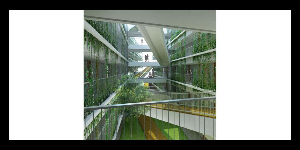 Apartemen 11 jutaan di jual di Canggu bali Apartemen 11 jutaan di jual di Canggu bali