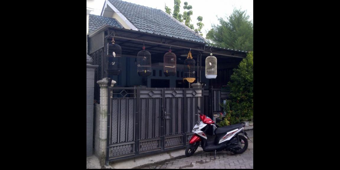 Rumah Siap Huni Dijual Giri Ngargosari Gunung Anyar Kebomas Gresik Rumah Siap Huni Dijual Giri Ngargosari Gunung Anyar Kebomas Gresik