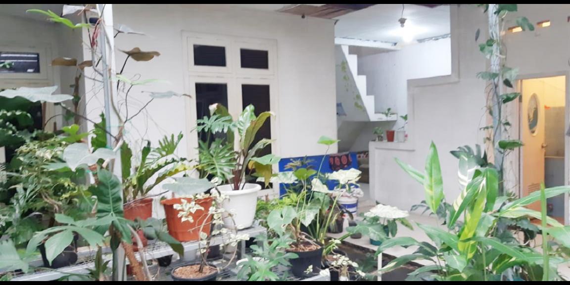 Rumah Dijual Dekat AEON Mall Sentul City, IKEA Sentul City, Sirkuit Sentul, Tol Sirkuit Sentul, Tol Sentul Selatan Rumah Dijual Dekat AEON Mall Sentul City, IKEA Sentul City, Sirkuit Sentul, Tol Sirkuit Sentul, Tol Sentul Selatan