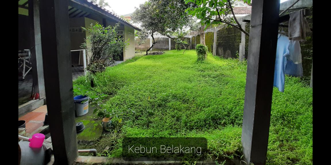 DIJUAL RUMAH DEPAN CANDI PRAMBANAN BONUS MOBIL MERCY KLASIK DIJUAL RUMAH DEPAN CANDI PRAMBANAN BONUS MOBIL MERCY KLASIK