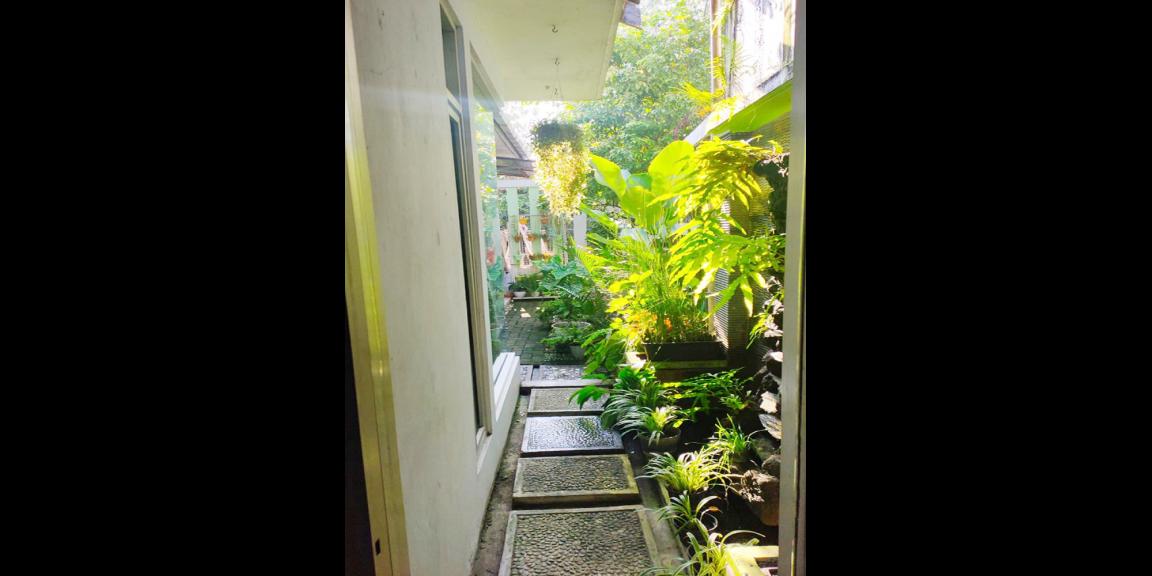 Rumah Dijual di Blora Dekat Luwes Mall, Alun-alun Blora, RSUD Dr. R Soetijono Blora, Tugu Pancasila Blora, Pasar Induk Rumah Dijual di Blora Dekat Luwes Mall, Alun-alun Blora, RSUD Dr. R Soetijono Blora, Tugu Pancasila Blora, Pasar Induk