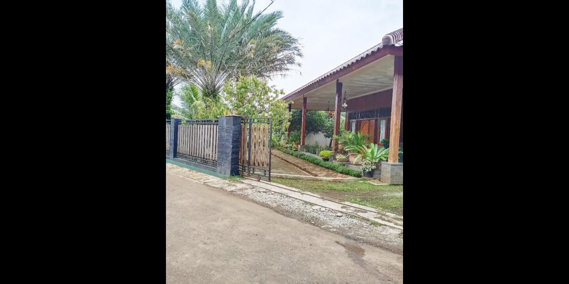 Rumah Dijual Murah Tanah Luas di Kota Depok Dekat Gerbang Tol Cimanggis Depok Rumah Dijual Murah Tanah Luas di Kota Depok Dekat Gerbang Tol Cimanggis Depok