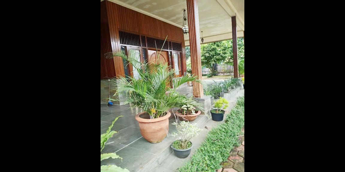 Rumah Dijual Murah Tanah Luas di Kota Depok Dekat Gerbang Tol Cimanggis Depok Rumah Dijual Murah Tanah Luas di Kota Depok Dekat Gerbang Tol Cimanggis Depok