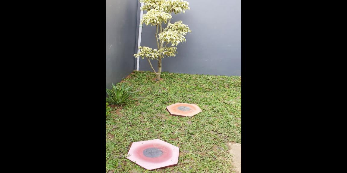 Dijual Rumah Baru Siap Huni di Wiyung Kota Surabaya Dekat SMA Negeri 22 Surabaya Dijual Rumah Baru Siap Huni di Wiyung Kota Surabaya Dekat SMA Negeri 22 Surabaya