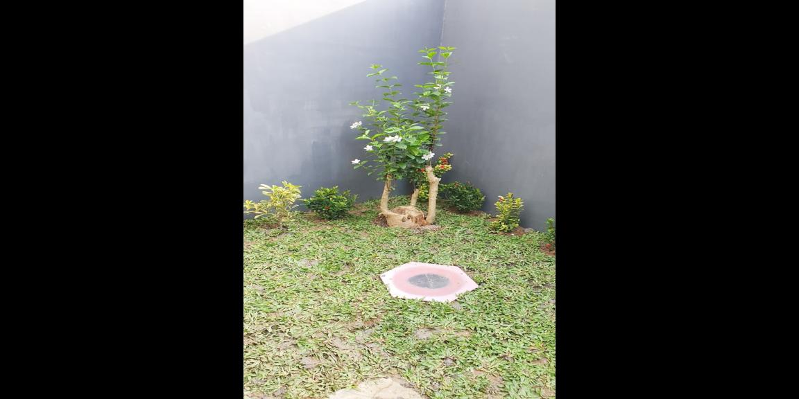 Dijual Rumah Baru Siap Huni di Wiyung Kota Surabaya Dekat SMA Negeri 22 Surabaya Dijual Rumah Baru Siap Huni di Wiyung Kota Surabaya Dekat SMA Negeri 22 Surabaya