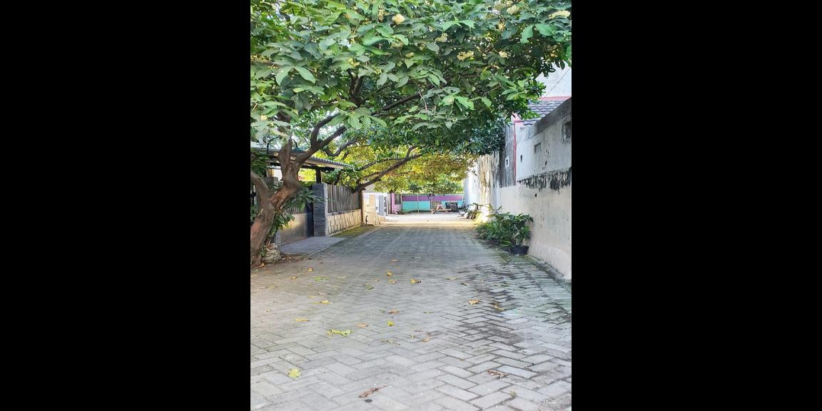 Dijual Rumah Baru Siap Huni di Wiyung Kota Surabaya Dekat SMA Negeri 22 Surabaya Dijual Rumah Baru Siap Huni di Wiyung Kota Surabaya Dekat SMA Negeri 22 Surabaya