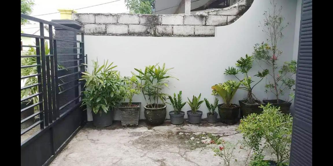 Rumah Dijual / Disewakan di Kota Palangka Raya Dekat Kantor Walikota Palangka Raya, RS Awal Bros Betang Pambelum Rumah Dijual / Disewakan di Kota Palangka Raya Dekat Kantor Walikota Palangka Raya, RS Awal Bros Betang Pambelum