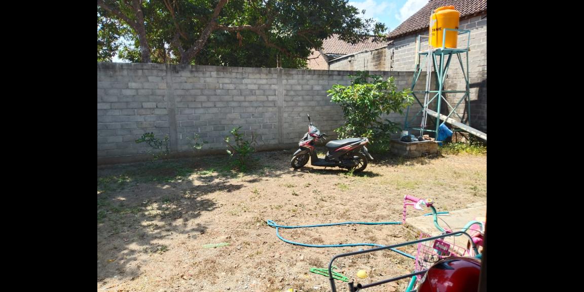 halaman belakang halaman belakang