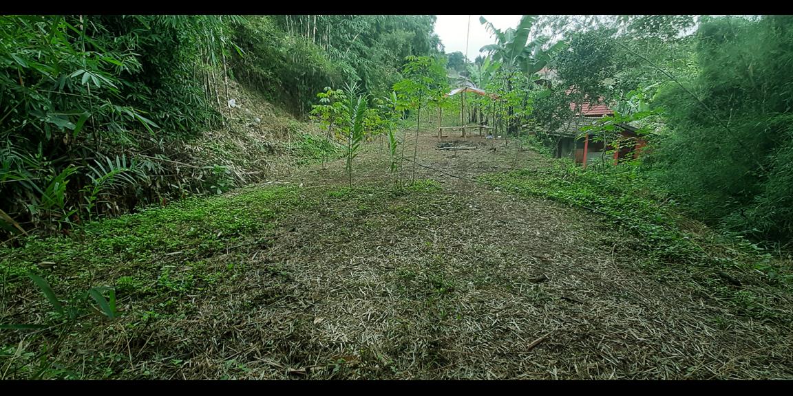TANAH PADAT DI CIMENYAN BANDUNG TANAH PADAT DI CIMENYAN BANDUNG