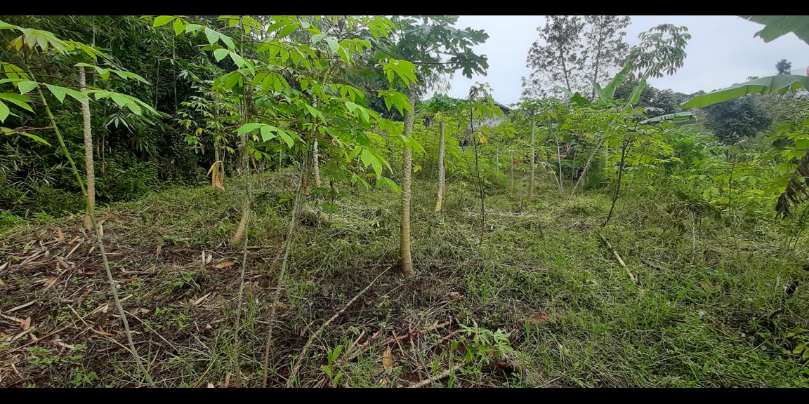 TANAH PADAT DI CIMENYAN BANDUNG TANAH PADAT DI CIMENYAN BANDUNG