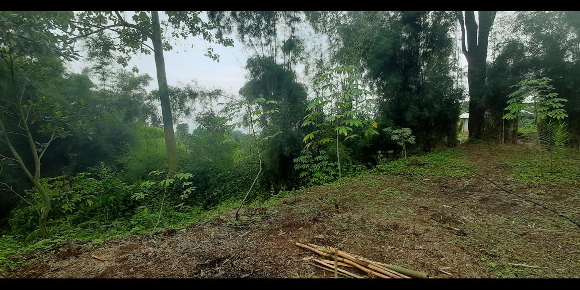 TANAH PADAT DI CIMENYAN BANDUNG TANAH PADAT DI CIMENYAN BANDUNG