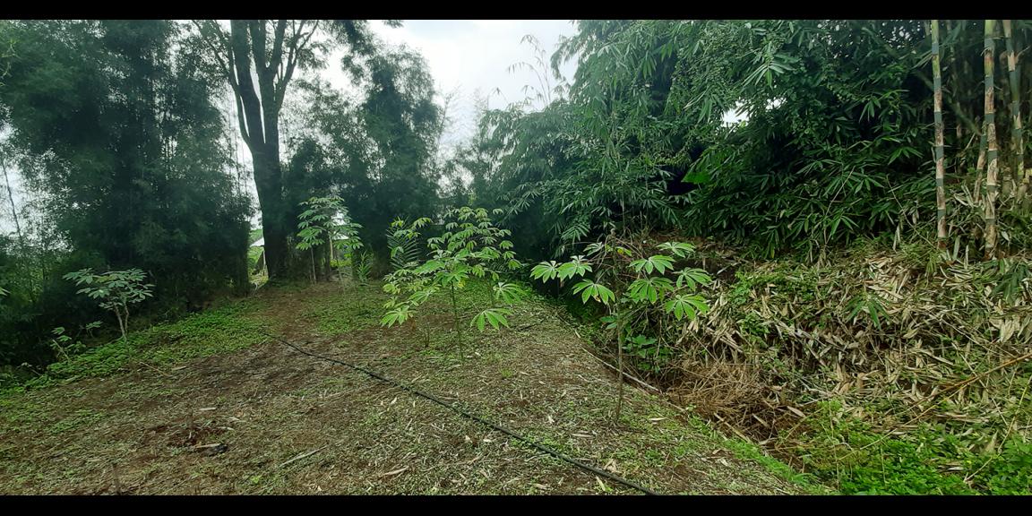 TANAH PADAT DI CIMENYAN BANDUNG TANAH PADAT DI CIMENYAN BANDUNG