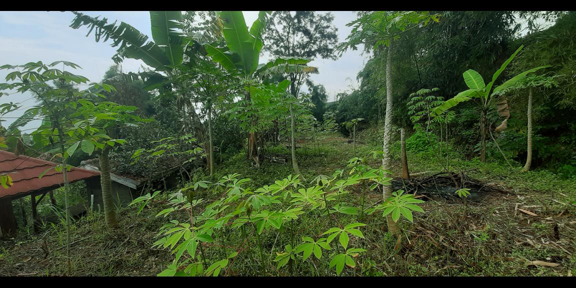 TANAH PADAT DI CIMENYAN BANDUNG TANAH PADAT DI CIMENYAN BANDUNG
