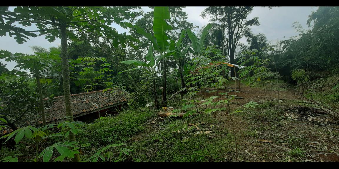 TANAH PADAT DI CIMENYAN BANDUNG TANAH PADAT DI CIMENYAN BANDUNG