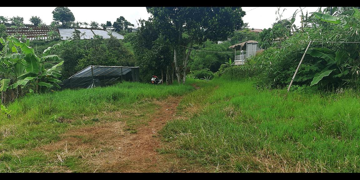 TANAH PADAT DI CIMENYAN BANDUNG TANAH PADAT DI CIMENYAN BANDUNG
