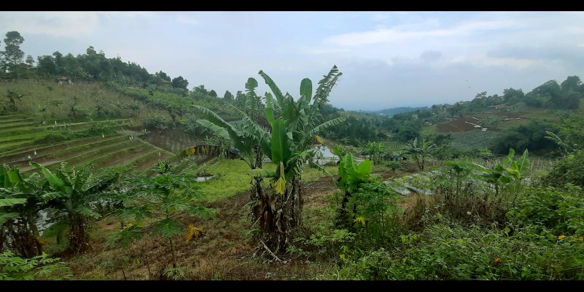 TANAH PADAT DI CIMENYAN BANDUNG TANAH PADAT DI CIMENYAN BANDUNG