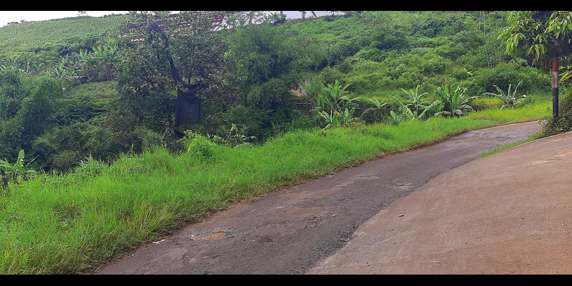 TANAH PADAT DI CIMENYAN BANDUNG TANAH PADAT DI CIMENYAN BANDUNG