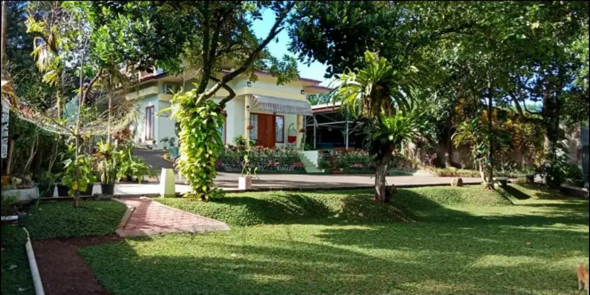 Villa / Rumah Nyaman & mewah, lokasi strategis & banyak bonus Villa / Rumah Nyaman & mewah, lokasi strategis & banyak bonus