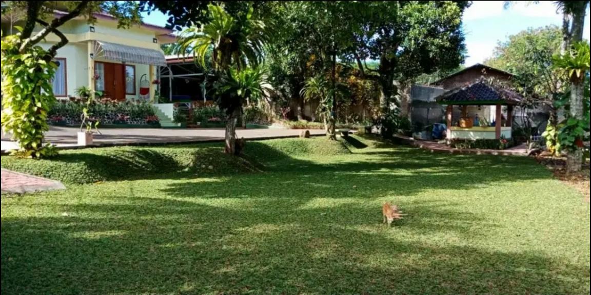 Villa / Rumah Nyaman & mewah, lokasi strategis & banyak bonus Villa / Rumah Nyaman & mewah, lokasi strategis & banyak bonus