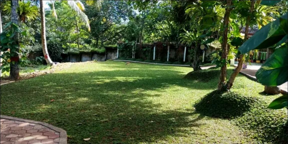 Villa / Rumah Nyaman & mewah, lokasi strategis & banyak bonus Villa / Rumah Nyaman & mewah, lokasi strategis & banyak bonus