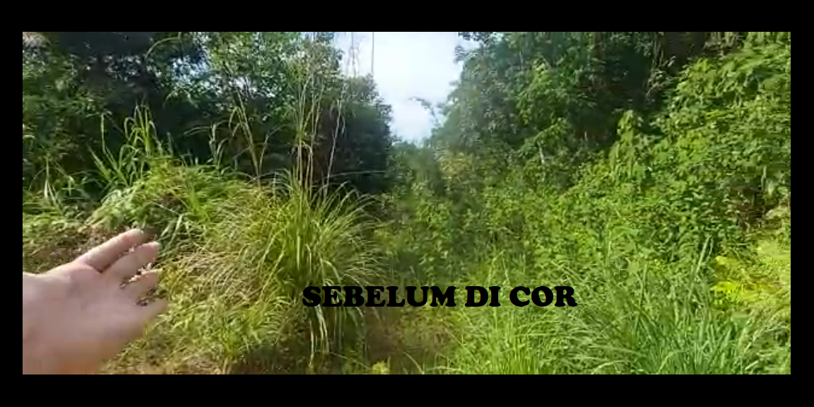 TANAH MURAH STRATEGIS DI SEPINGGAN PT HER BALIKPAPAN TANAH MURAH STRATEGIS DI SEPINGGAN PT HER BALIKPAPAN