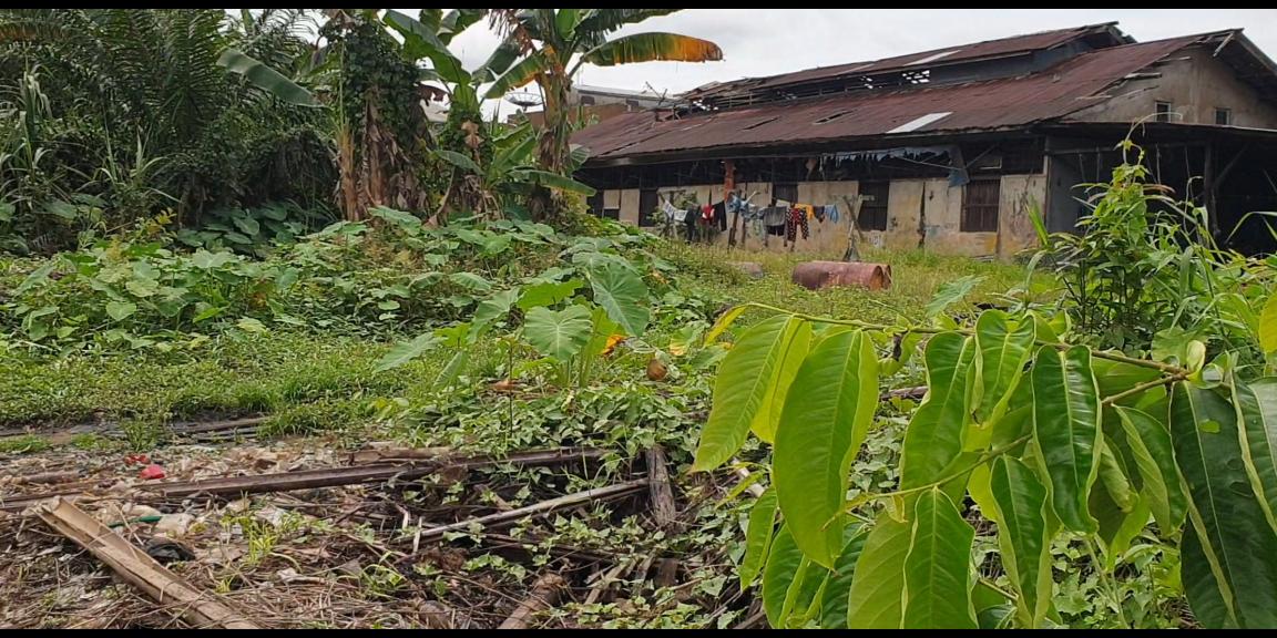 Pabrik dan tanah dijual luas 2.032m2 Hak Milik di pinggir sungai Pontianak utara Kalimantan barat Pabrik dan tanah dijual luas 2.032m2 Hak Milik di pinggir sungai Pontianak utara Kalimantan barat