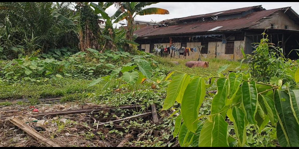 Gudang pabrik tanah strategis tepi sungai hak milik luas 1.025m2 pontianak kalimantan barat Gudang pabrik tanah strategis tepi sungai hak milik luas 1.025m2 pontianak kalimantan barat