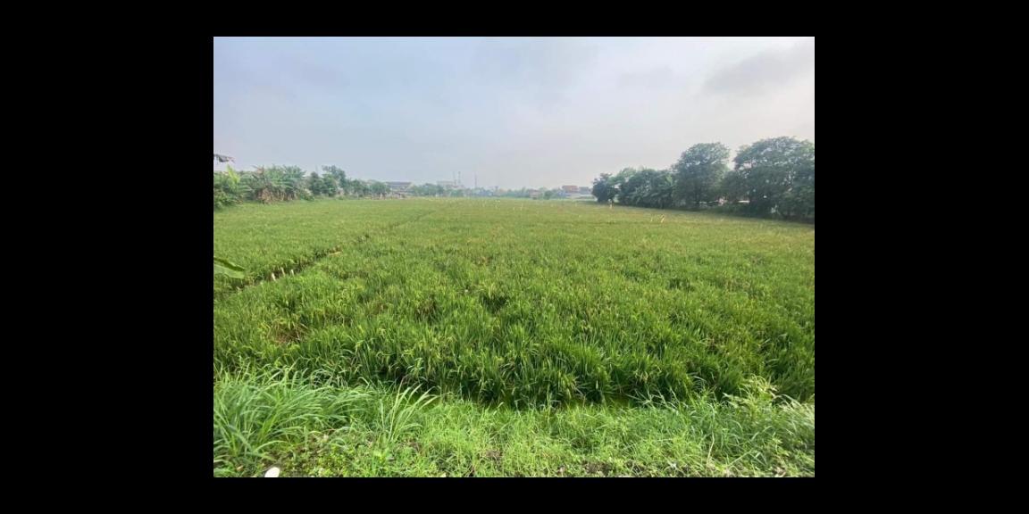 Tanah dijual di Buahbatu ciwastra Tanah dijual di Buahbatu ciwastra