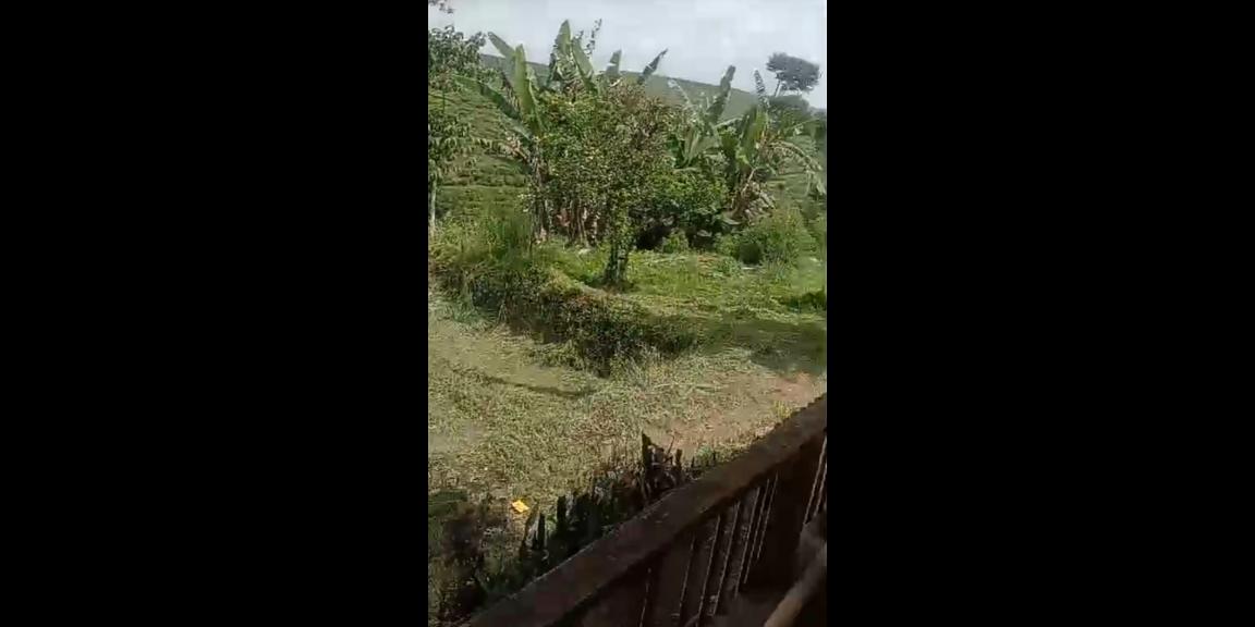 Tanah di cianjur campaka jual murah Tanah di cianjur campaka jual murah