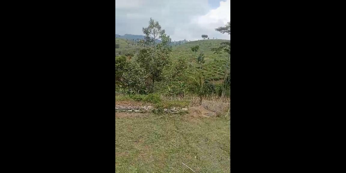 Tanah di cianjur campaka jual murah Tanah di cianjur campaka jual murah