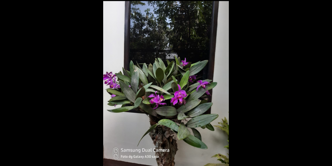 Rumah dekat summarecon gedebage Bandung Rumah dekat summarecon gedebage Bandung