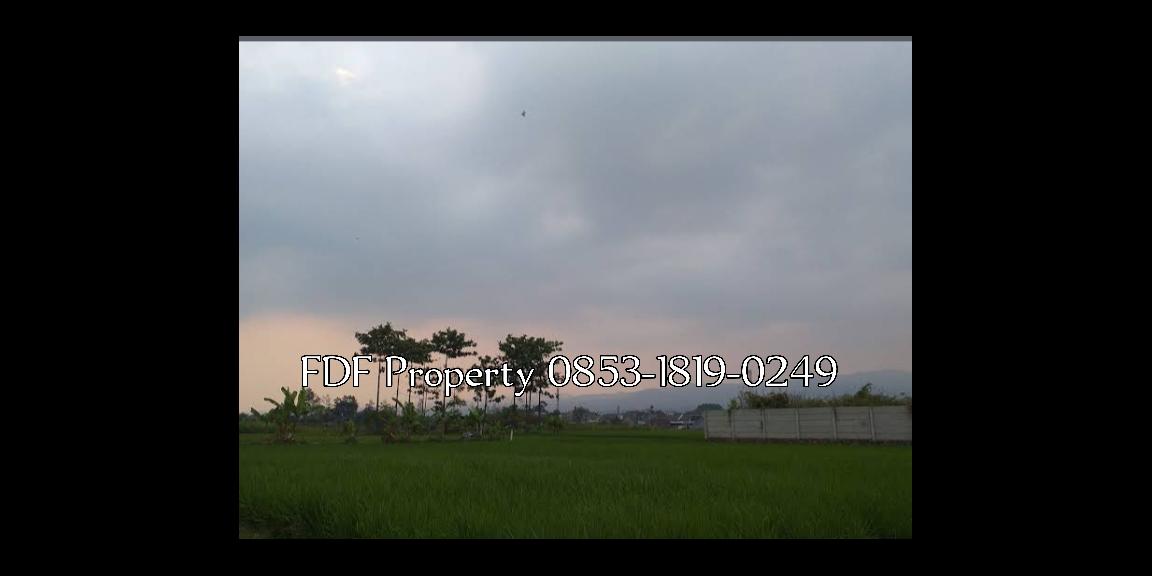 Tanah sawah di Cisaranten Kulon Bandung Tanah sawah di Cisaranten Kulon Bandung