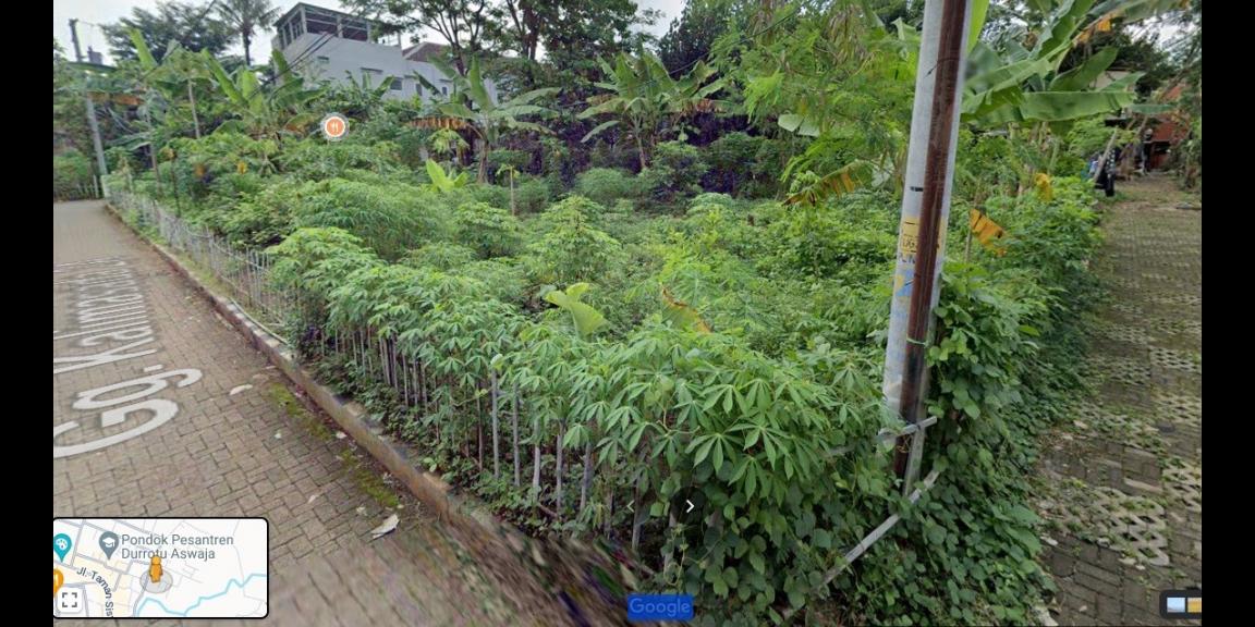 Dijual tanah di lingkungan kampus Semarang. 200 meter dari UNNES Dijual tanah di lingkungan kampus Semarang. 200 meter dari UNNES