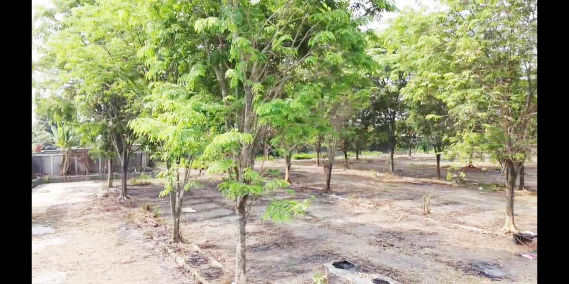 Sewa Lahan/Tanah Murah di Depan Mall The Park Sawangan Luas 14.000 m2 Ex Pool Taxi Sewa Lahan/Tanah Murah di Depan Mall The Park Sawangan Luas 14.000 m2 Ex Pool Taxi