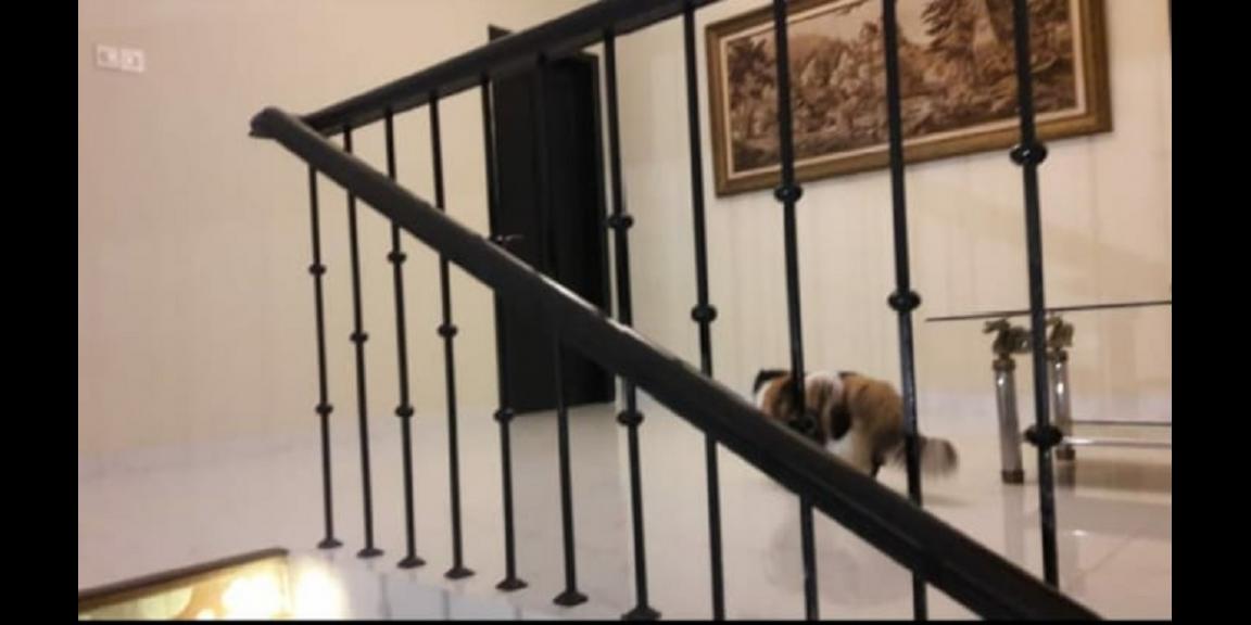 Sewa Rumah Mewah 2 Lantai Full Furnished Strategis di Kemanggisan Jakarta Barat Sewa Rumah Mewah 2 Lantai Full Furnished Strategis di Kemanggisan Jakarta Barat