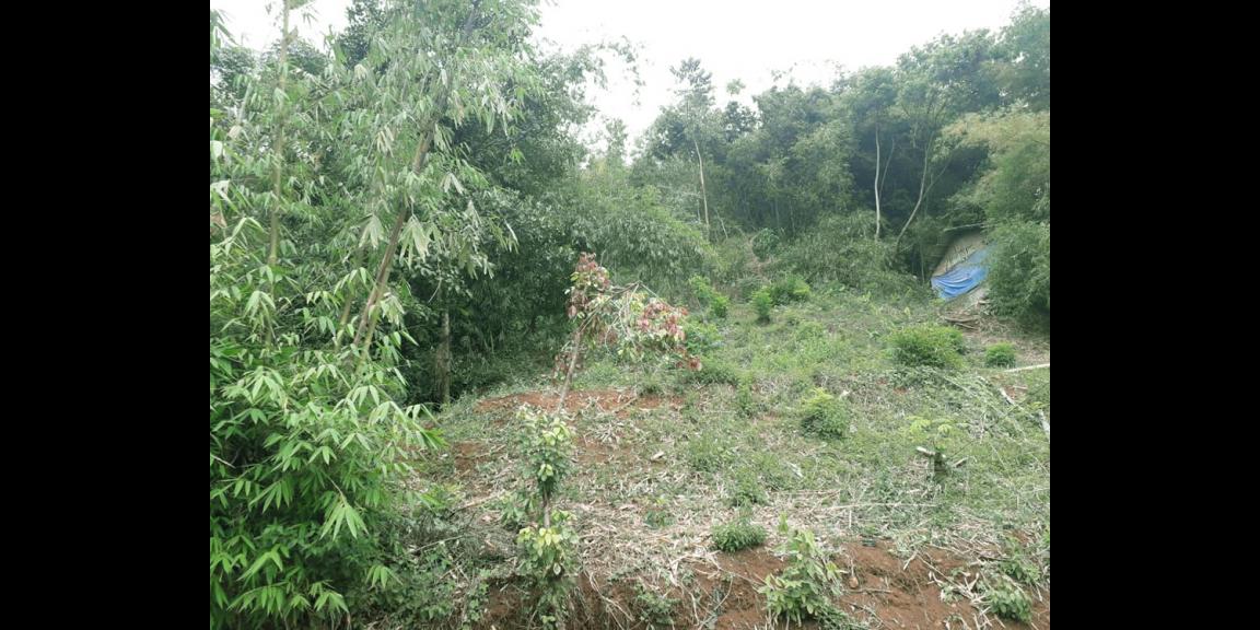 TANAH DARAT SOREANG BANDUNG TANAH DARAT SOREANG BANDUNG