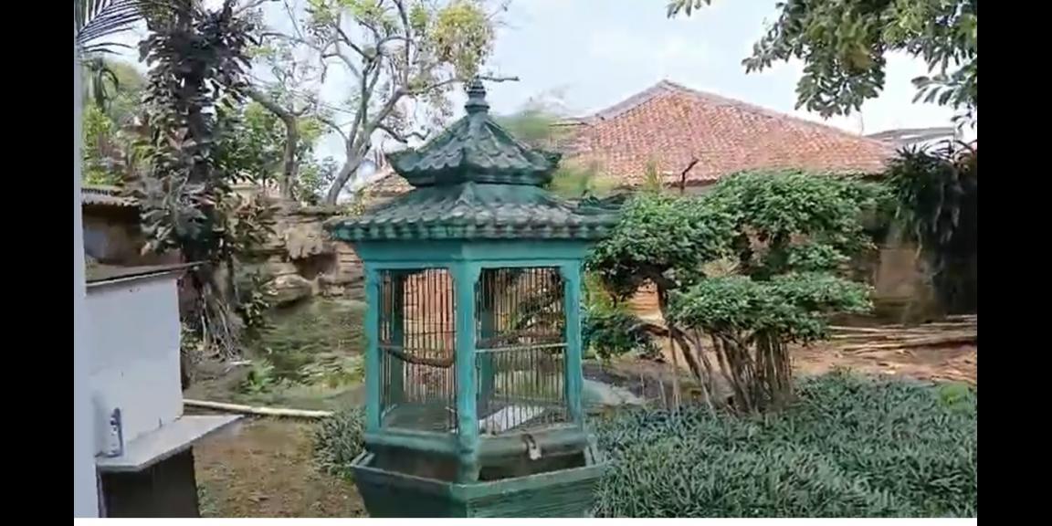 Rumah Mewah Klasik 1460mtr nego sampai deal Rumah Mewah Klasik 1460mtr nego sampai deal