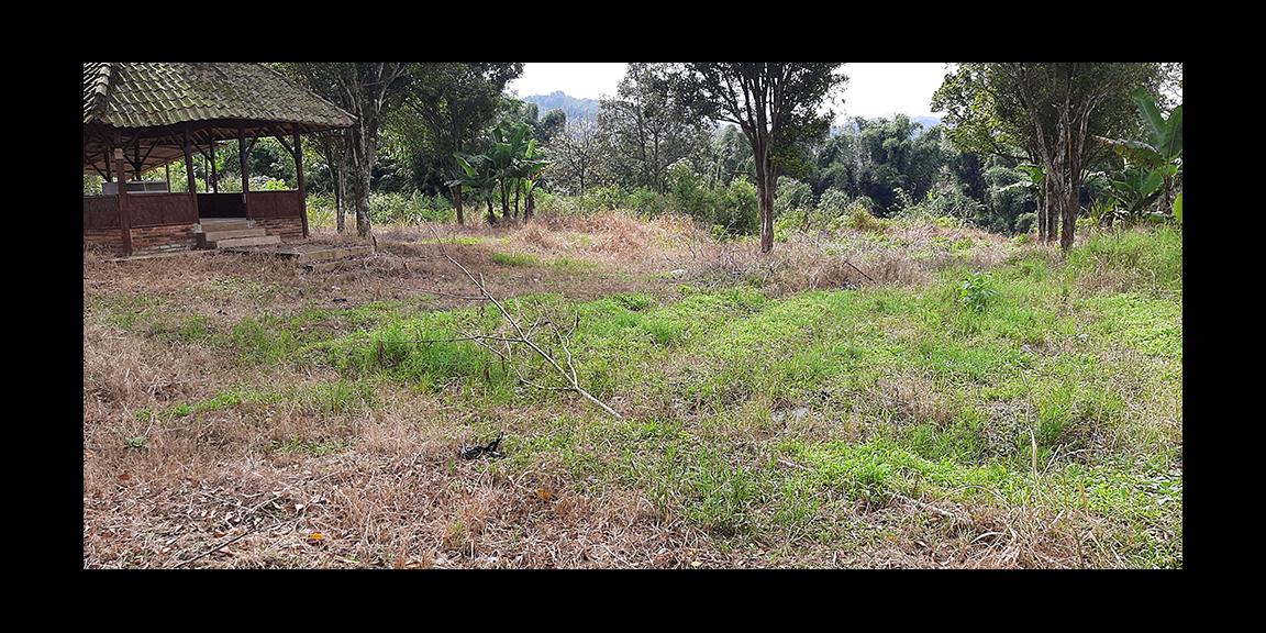 TANAH MATANG KAWASAN CIUMBULEUIT BANDUNG TANAH MATANG KAWASAN CIUMBULEUIT BANDUNG