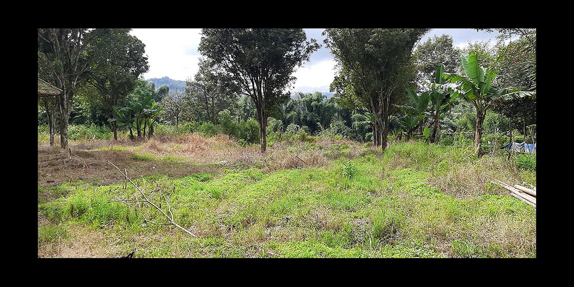 TANAH MATANG KAWASAN CIUMBULEUIT BANDUNG TANAH MATANG KAWASAN CIUMBULEUIT BANDUNG