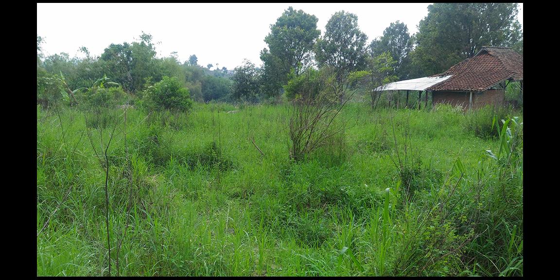 TANAH MATANG KAWASAN CIUMBULEUIT BANDUNG TANAH MATANG KAWASAN CIUMBULEUIT BANDUNG