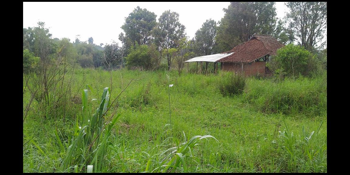 TANAH MATANG KAWASAN CIUMBULEUIT BANDUNG TANAH MATANG KAWASAN CIUMBULEUIT BANDUNG