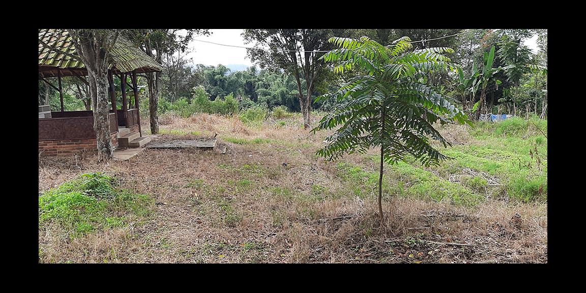 TANAH MATANG KAWASAN CIUMBULEUIT BANDUNG TANAH MATANG KAWASAN CIUMBULEUIT BANDUNG